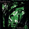Buffalo Tom | Birdbrain 