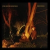 Echo & The Bunnymen | Crocodiles 