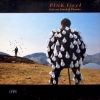 Pink Floyd | Delicate Sound Of Thunder (PF Live)