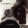 Bozulich Carla | Evangelista 