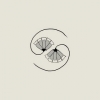 Godspeed You! Black Emperor | G_D's pee At State's End 