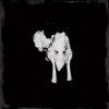 Sigur Ros| Kveikur 
