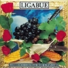 Ligabue | Lambrusco Coltelli Rose & Pop Corn
