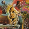 Flaming Lips | Oh My Gawd!!!...