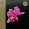 Opeth | Orchid RSD2020