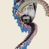 Animal Collective | Painting With 