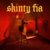 Fontaines D.C. | Skinty Fia