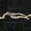 Animal Collective | Spirit They're Gone Spirit They're Vanished 