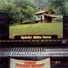 Bembo Dario Baldan | Spirito Della Terra  
