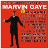 Gaye Marvin| That Stubborn Kinda' Fellow