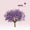 Eels| Tomorrow Morning