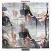 Charlatans | We Are Love 