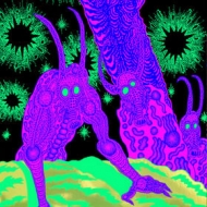 Osees | Abomination Revealed At Last 