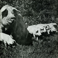 Pink Floyd | Best Of Tour 72