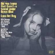 Del Rey Lana | Did You Know That There's a Tunnel Under Ocean Blv