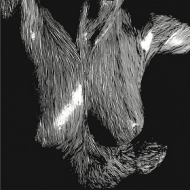 Oceansize | Self Preserved While The Bodies Float Up Songs